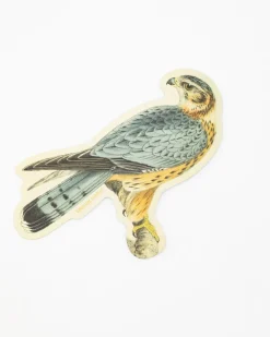 Cognitive Surplus Merlin Falcon Sticker* Stickers | Ornithology
