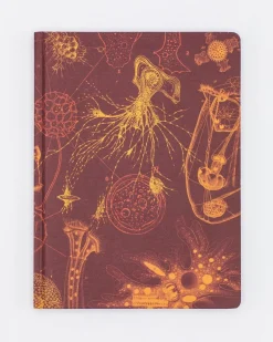 Cognitive Surplus Microbiology Hardcover Journal | Microbiologist* The Hypothesis | Microbiology