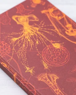 Cognitive Surplus Microbiology Hardcover Journal | Microbiologist* The Hypothesis | Microbiology