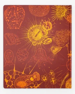 Cognitive Surplus Microbiology Lab Notebook* The Laboratory | Microbiology