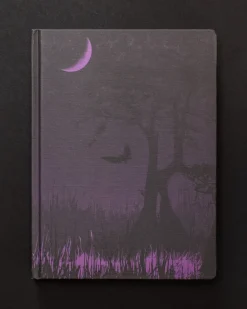 Cognitive Surplus Midnight Swampland Dark Matter Notebook* Black Paper Notebooks | The Dark Matter