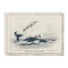 Cognitive Surplus Mistakes Were Made Illustration Museum Print* Wall Art | Biology