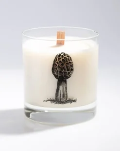 Cognitive Surplus Morel Mushroom Cocktail Candle* Candles | Botany