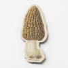 Cognitive Surplus Morel Mushroom Magnet* Magnets | Botany