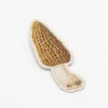 Cognitive Surplus Morel Mushroom Sticker* Stickers | Botany