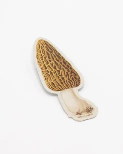 Cognitive Surplus Morel Mushroom Sticker* Stickers | Botany