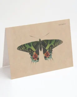Cognitive Surplus Moth Greeting Card - Entomology Stationery | * Greeting Cards | Biology