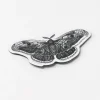 Cognitive Surplus Moth Magnet* Magnets | Entomology