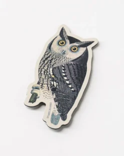Cognitive Surplus Mottled Owl Magnet* Magnets | Ornithology