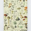 Cognitive Surplus Mushroom Notebook - Hardcover | Lined/Grid Journal* The Hypothesis | Kitchen Science