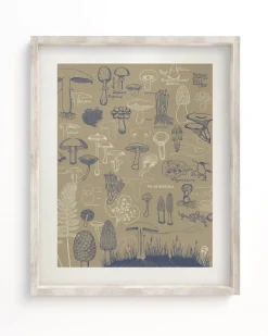 Cognitive Surplus Mushrooms Scientific Illustration Museum Print* Wall Art | Kitchen Science