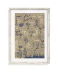 Cognitive Surplus Mushrooms Scientific Illustration Museum Print* Wall Art | Kitchen Science