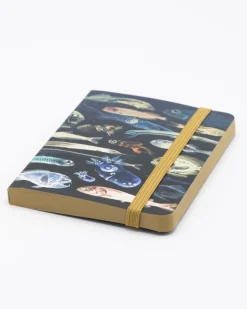Cognitive Surplus Mysteries of the Deep Observation Softcover* The Observation | Marine Biology