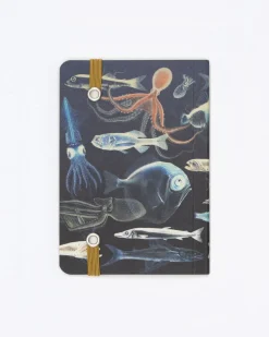 Cognitive Surplus Mysteries of the Deep Observation Softcover* The Observation | Marine Biology
