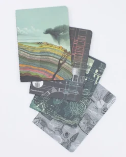 Cognitive Surplus Natural History Pocket Notebooks Set of 4 | Geology Gift* The Research | Physics