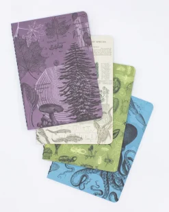 Cognitive Surplus Natural Science Pocket Notebooks Set of 4 | Insect Print* The Research | Ornithology