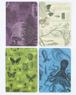 Cognitive Surplus Natural Science Pocket Notebooks Set of 4 | Insect Print* The Research | Ornithology