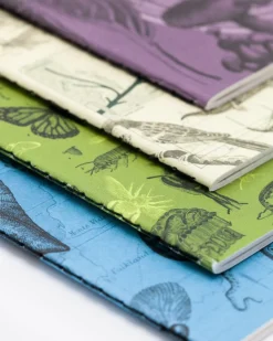 Cognitive Surplus Natural Science Pocket Notebooks Set of 4 | Insect Print* The Research | Ornithology