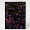 Cognitive Surplus Neon Mushrooms Card - Science Stationery | * Greeting Cards | Kitchen Science