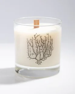 Cognitive Surplus Nerve Cluster Cocktail Candle* Candles | Biology