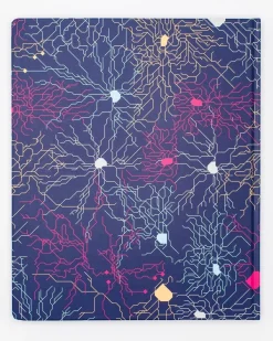 Cognitive Surplus Neural Circuit Lab Notebook* The Laboratory | Psychology