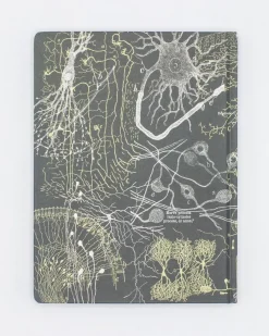 Cognitive Surplus Neuron Hardcover Notebook | Pharmacist Gift* The Hypothesis | Psychology