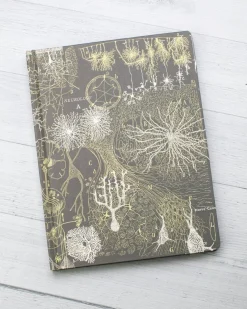 Cognitive Surplus Neuron Hardcover Notebook | Pharmacist Gift* The Hypothesis | Psychology