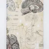 Cognitive Surplus Neuron Softcover Notebook | Brain Notebook* The Experiment | Psychology