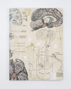 Cognitive Surplus Neuron Softcover Notebook | Brain Notebook* The Experiment | Psychology