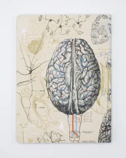 Cognitive Surplus Neuron Softcover Notebook | Brain Notebook* The Experiment | Psychology