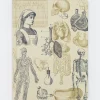Cognitive Surplus Nurse Notebook - Hardcover | Physician Gift* The Hypothesis | Medicine