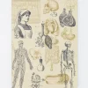 Cognitive Surplus Nursing Softcover Notebook | Pharmacist Gift* The Experiment | Medicine