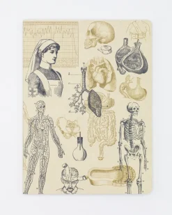 Cognitive Surplus Nursing Softcover Notebook | Pharmacist Gift* The Experiment | Medicine