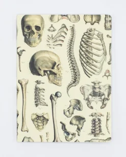 Cognitive Surplus Nursing Softcover Notebook | Pharmacist Gift* The Experiment | Medicine