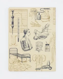 Cognitive Surplus Nursing Softcover Notebook | Pharmacist Gift* The Experiment | Medicine