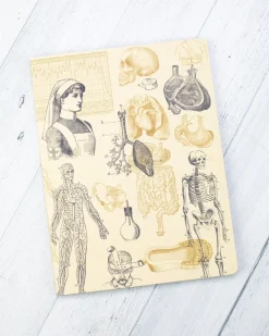 Cognitive Surplus Nursing Softcover Notebook | Pharmacist Gift* The Experiment | Medicine