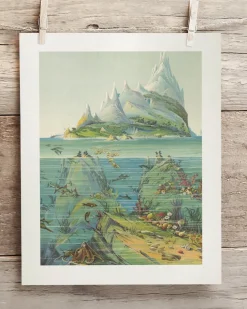 Cognitive Surplus Ocean Regions Scientific Illustration Museum Print* Wall Art | Geology + Earth Science