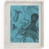 Cognitive Surplus Octopus & Squid Scientific Illustration Museum Print* Wall Art | Marine Biology