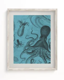 Cognitive Surplus Octopus & Squid Scientific Illustration Museum Print* Wall Art | Marine Biology