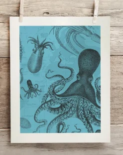 Cognitive Surplus Octopus & Squid Scientific Illustration Museum Print* Wall Art | Marine Biology