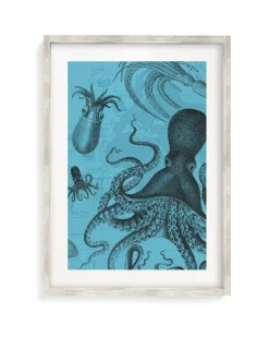 Cognitive Surplus Octopus & Squid Scientific Illustration Museum Print* Wall Art | Marine Biology
