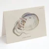 Cognitive Surplus Octopus: Argonaut Greeting Card - Marine Biology Stationery | * Greeting Cards | Marine Biology