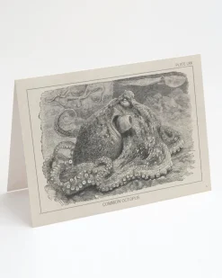 Cognitive Surplus Octopus Greeting Card - Marine Biology Stationery | * Greeting Cards | Marine Biology