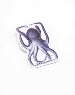 Cognitive Surplus Octopus in a Box Sticker* Stickers | Marine Biology