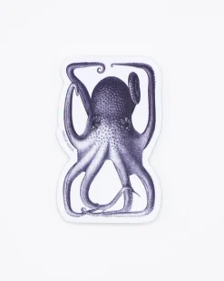 Cognitive Surplus Octopus in a Box Sticker* Stickers | Marine Biology