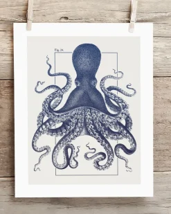 Cognitive Surplus Octopus Scientific Illustration Museum Print* Wall Art | Marine Biology