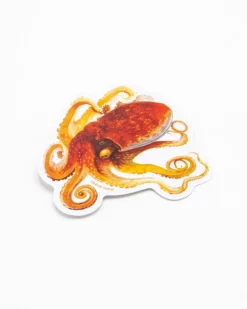 Cognitive Surplus Octopus Sticker* Stickers | Marine Biology