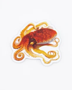 Cognitive Surplus Octopus Sticker* Stickers | Marine Biology