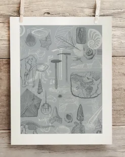 Cognitive Surplus Paleontology Scientific Illustration Museum Print* Wall Art | Paleontology