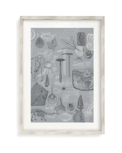 Cognitive Surplus Paleontology Scientific Illustration Museum Print* Wall Art | Paleontology